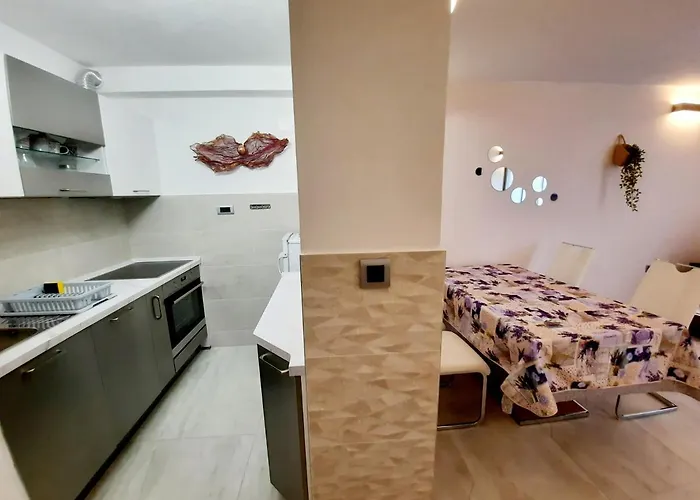 Symphony Garden: Modern, New 斯普利特