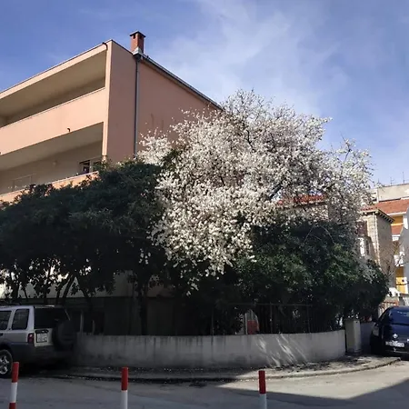 Symphony Garden: Modern, New Split